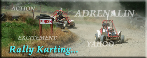 Rally Karking