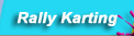 Rally Karting